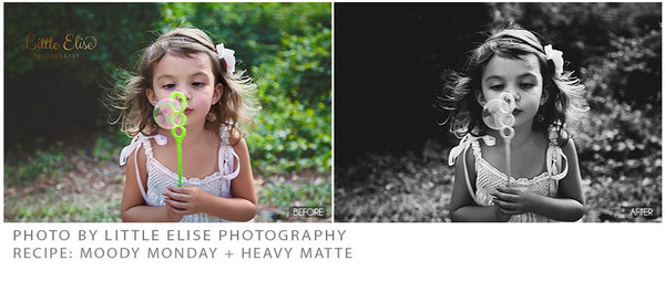 The Ultimate Season Action Bundle