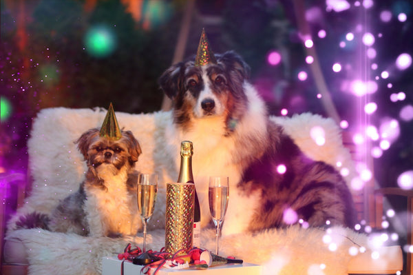 800+ HD Photo Overlays, Underwater, Real Smoke, Rain Overlays + More!