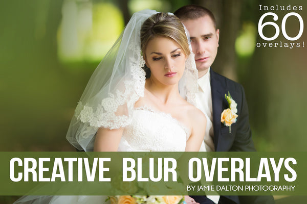 1,428 Photo Overlays by Jamie Dalton