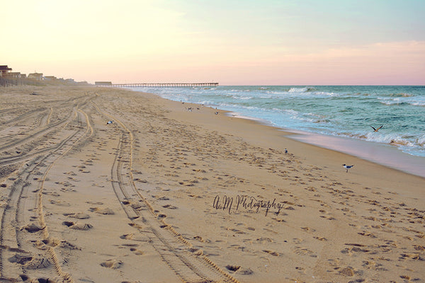 Actions for Beach Photos