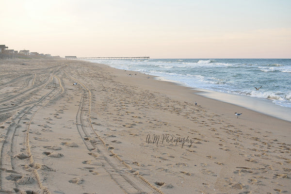 Actions for Beach Photos
