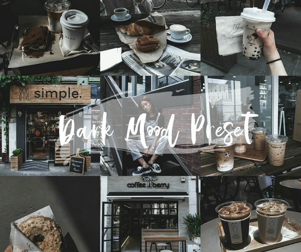 Blogger Lightroom Presets Collection
