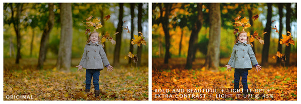 Fall Portrait Action Pack