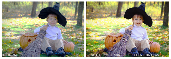 Fall Portrait Action Pack