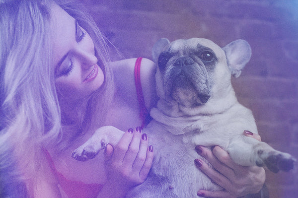 800+ HD Photo Overlays, Underwater, Real Smoke, Rain Overlays + More!