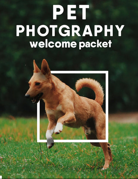 Photographer Welcome Packet Bundle | Client Guide Bundle | 23 templates included!