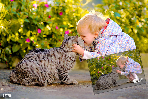 BP4U Essentials Photoshop Action Collection 1