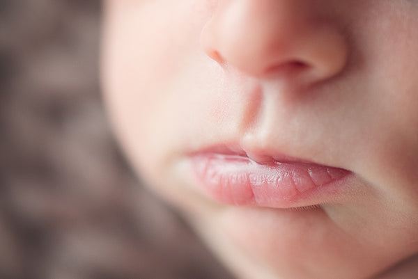 Lifestyle Newborn Photography Class