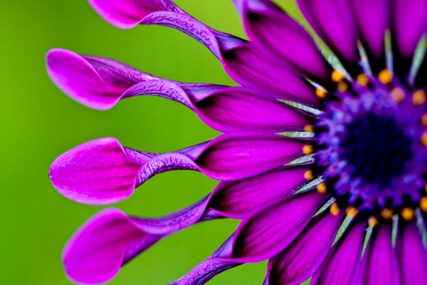 Macro Presets -Set 1-