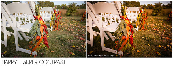 The Ultimate Season Preset Bundle