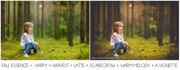 The Ultimate Season Preset Bundle