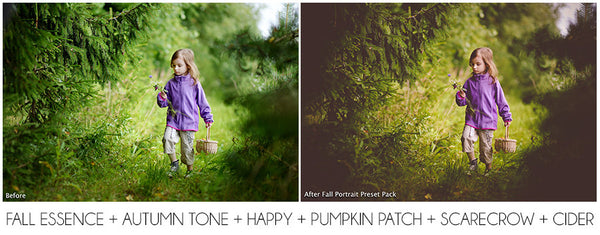 The Ultimate Season Preset Bundle