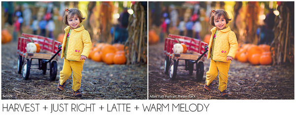 The Ultimate Season Preset Bundle