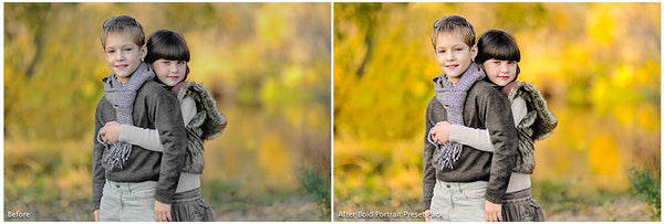 The Ultimate Season Preset Bundle