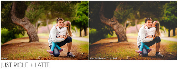 The Ultimate Season Preset Bundle