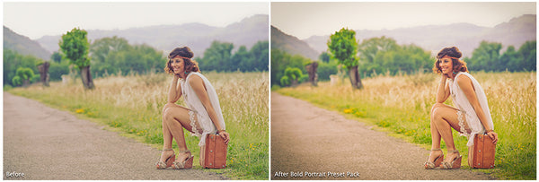 The Ultimate Season Preset Bundle