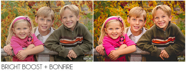 The Ultimate Season Preset Bundle