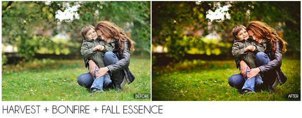 The Ultimate Season Preset Bundle