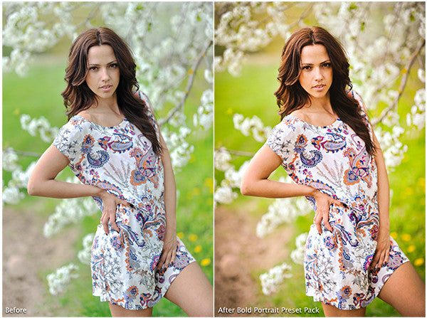 The Ultimate Season Preset Bundle