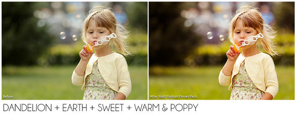 Bold Portrait Preset Pack (Summer)