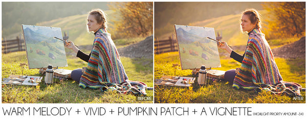 The Ultimate Season Preset Bundle