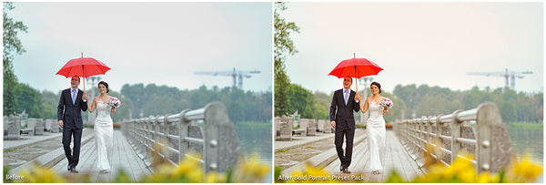 The Ultimate Season Preset Bundle