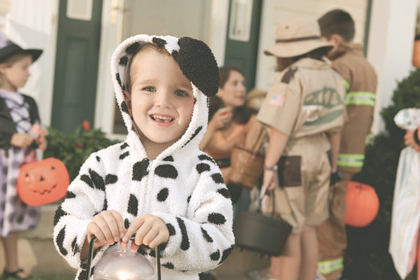 Pumpkin Smash Presets -Set 1-