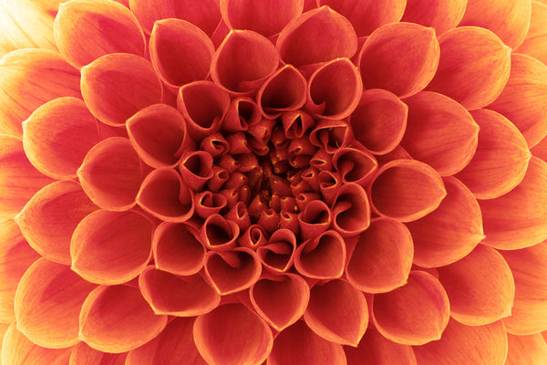 Macro Presets -Set 1-