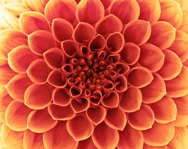 Macro Presets -Set 1-