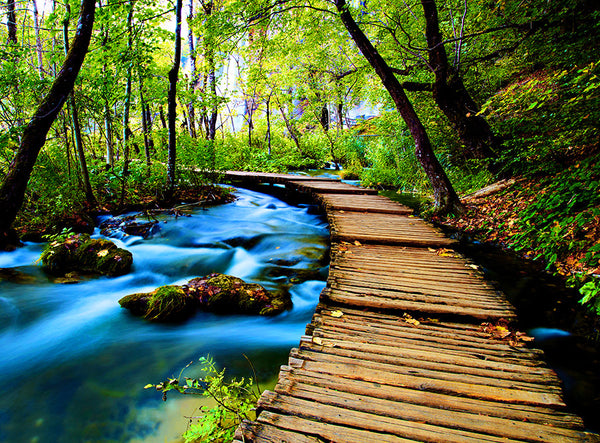 Art Inspired Actions -Set 1-