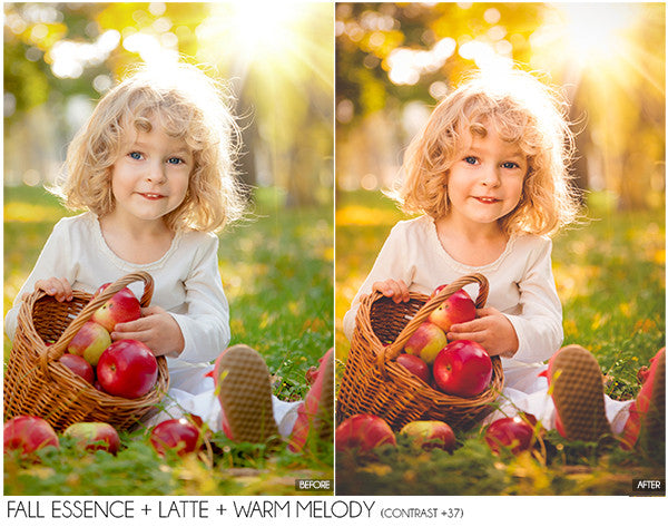 The Ultimate Season Preset Bundle