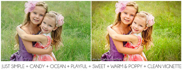 The Ultimate Season Preset Bundle