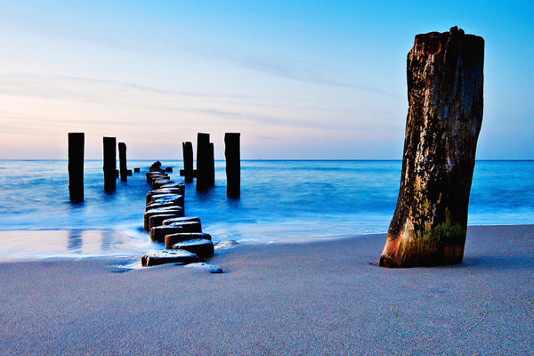 Art Inspired Actions -Set 1-