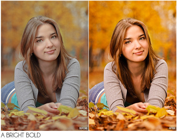 The Ultimate Season Preset Bundle