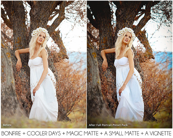 The Ultimate Season Preset Bundle