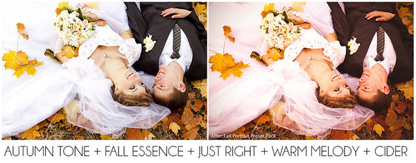 The Ultimate Season Preset Bundle