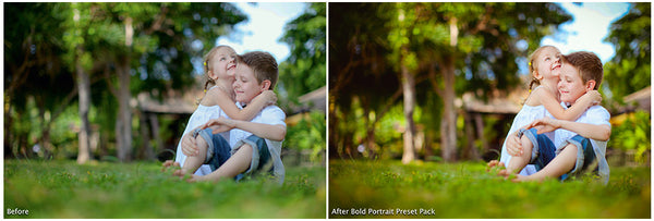 The Ultimate Season Preset Bundle