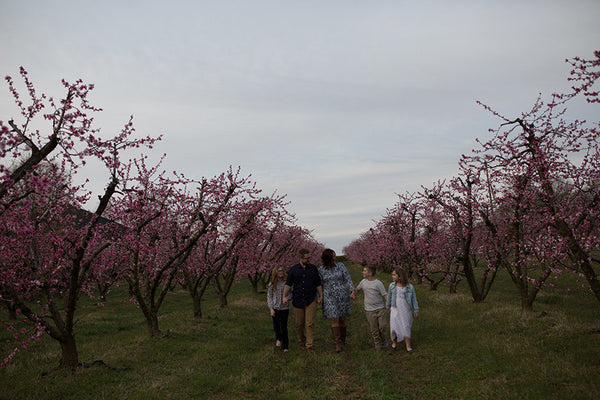 OVER 90 MINUTES! Family Editing [Video Collection] by Jessica Vaughn
