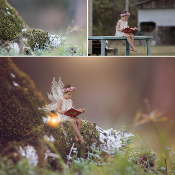 *5 Videos* Creative Composite Video Course by Stephanie Stafford