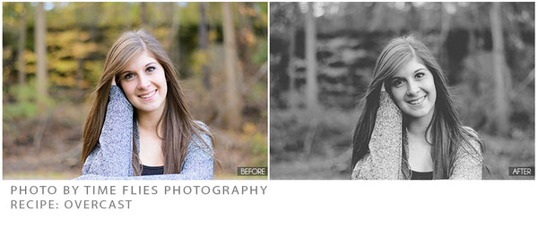 The Ultimate Season Preset Bundle