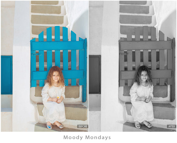 The Ultimate Season Preset Bundle