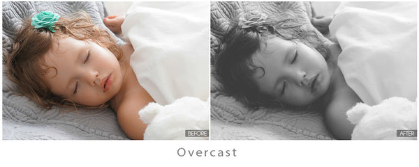 The Ultimate Season Preset Bundle