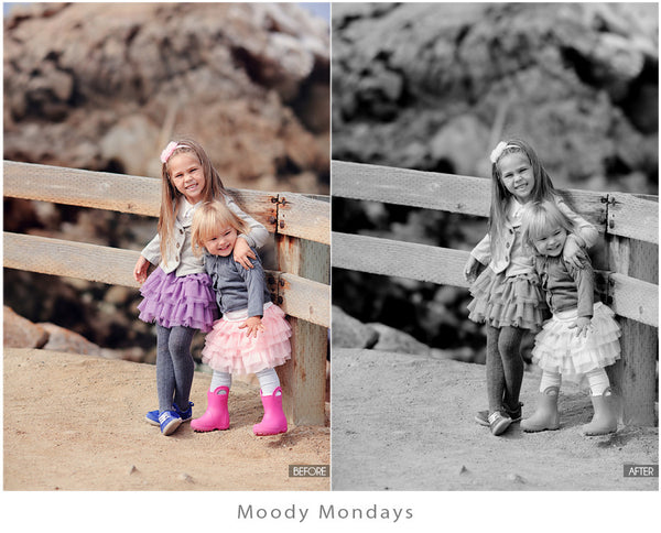 The Ultimate Season Preset Bundle