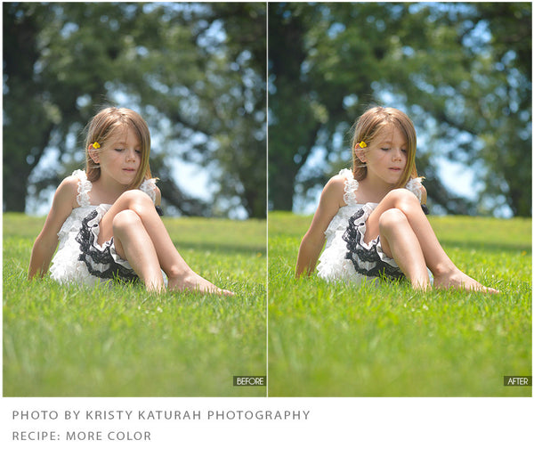 The Ultimate Season Preset Bundle