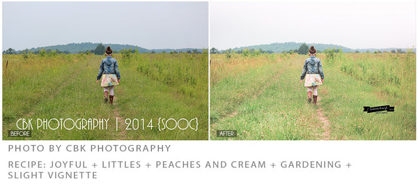 The Ultimate Season Preset Bundle