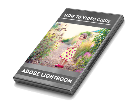 The Beginner's Guide to Using Lightroom