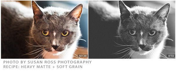 275 of the BEST BP4U Presets: The BP4U Lightroom Preset Collection