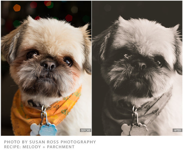 275 of the BEST BP4U Presets: The BP4U Lightroom Preset Collection