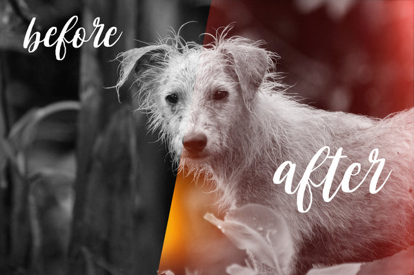 800+ HD Photo Overlays, Underwater, Real Smoke, Rain Overlays + More!