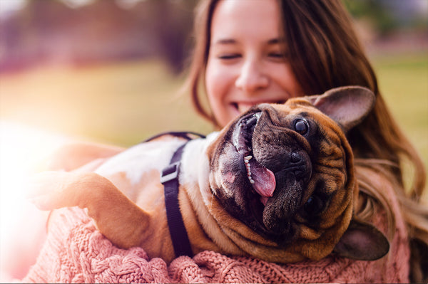 800+ HD Photo Overlays, Underwater, Real Smoke, Rain Overlays + More!